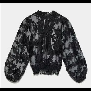Zara Floral Organza Blouse